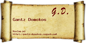 Gantz Domokos névjegykártya